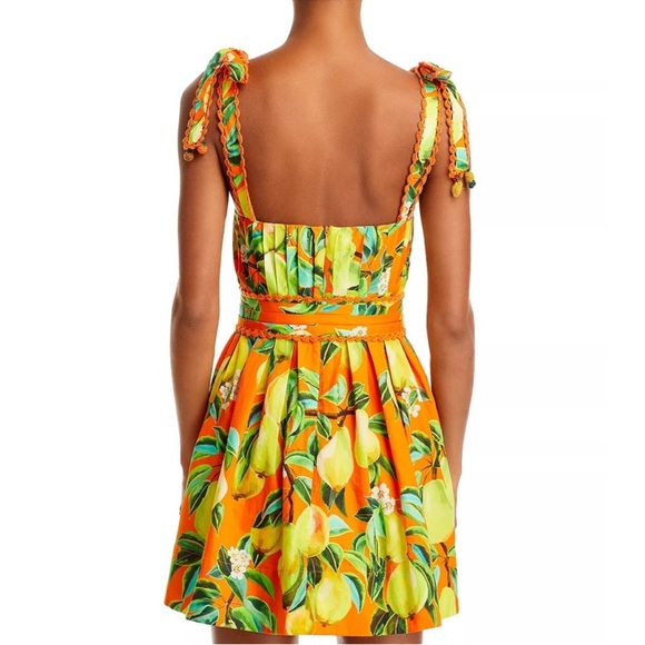 NWT FARM Rio Chic Pears Belted Mini Dress - Picture 3 of 13